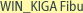 WIN_KIGA Fibu